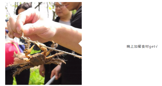 葫蘆娃集團(tuán)業(yè)務(wù)事業(yè)群Q1季度績優(yōu)游——為夢想釋放狂野391.png